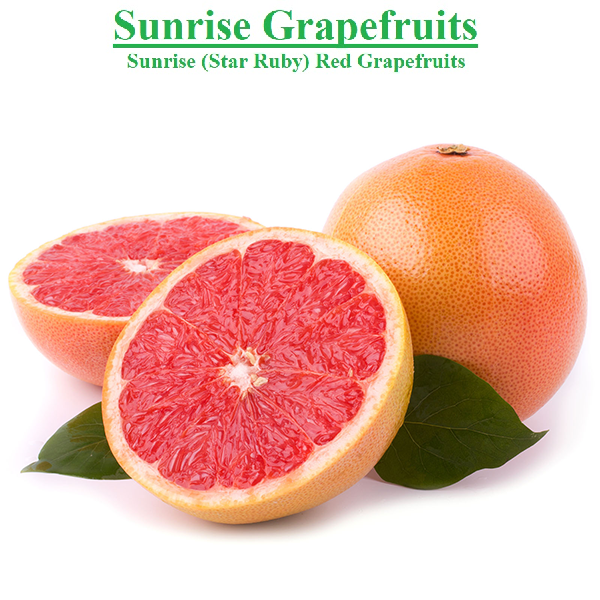 Planet Israel - Fresh Fruits | Fresh Citrus | Fresh Vegetables | Concentrated Pure Fruit Juice - Fresh Sunrise (Star Ruby) Red Grapefruit / Grapefruits from Israel