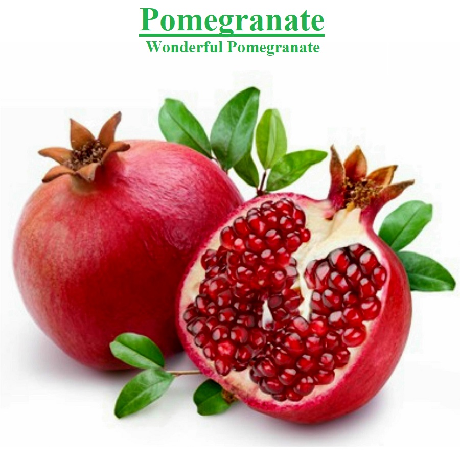 Planet Israel - Fresh Fruits | Fresh Citrus | Fresh Vegetables | Concentrated Pure Fruit Juice - Fresh Pomegranate / Wonderful Pomegranates from from Israel