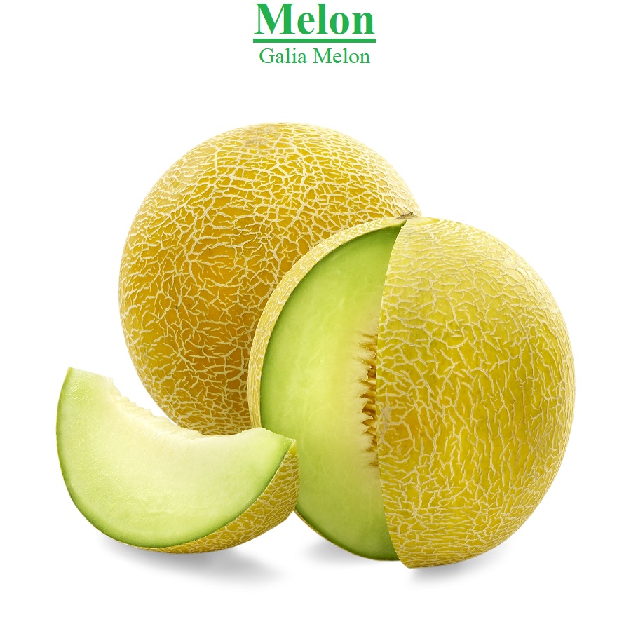 Planet Israel - Fresh Fruits | Fresh Citrus | Fresh Vegetables | Concentrated Pure Fruit Juice - Fresh Galia Melon / Melons from Israel