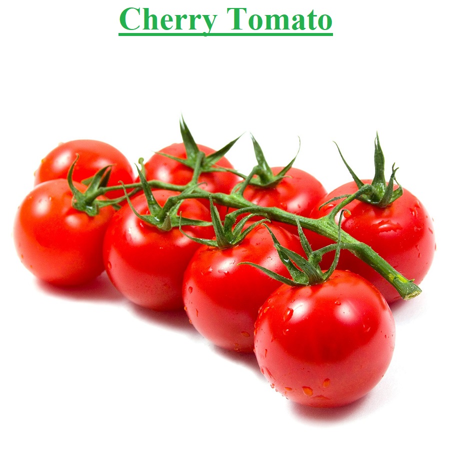 Planet Israel - Cherry Tomato