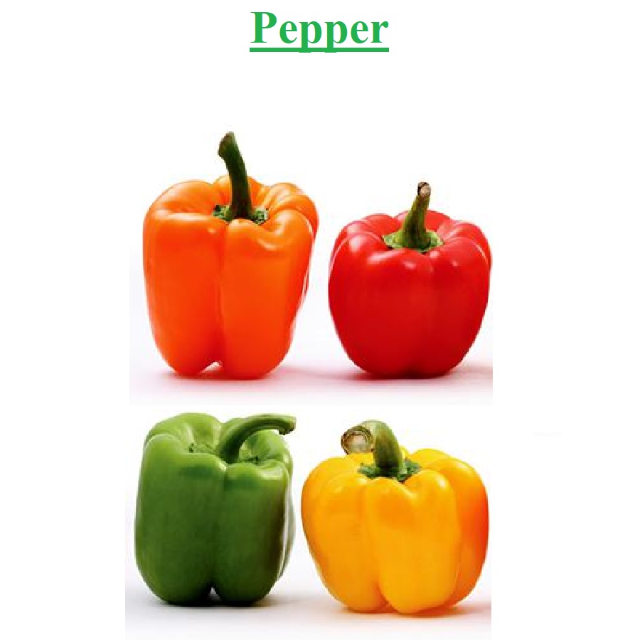 Fresh Citrus | Fresh Vegetables | Concentrated Pure Fruit Juice - Fresh Pepper / Peppers / Capsicum / Capsicums from Israel