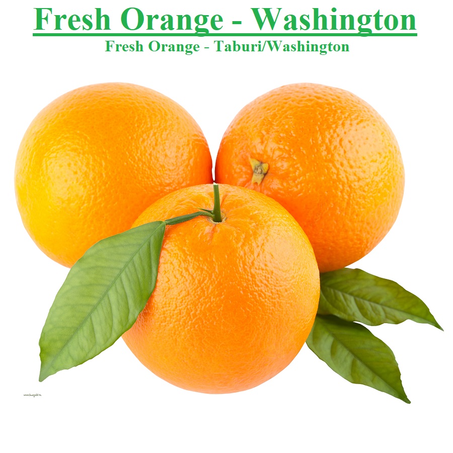 Planet Israel - Fresh Fruits | Fresh Citrus | Fresh Vegetables | Concentrated Pure Fruit Juice - Fresh Washington Taburi Orange / Oranges from Israel