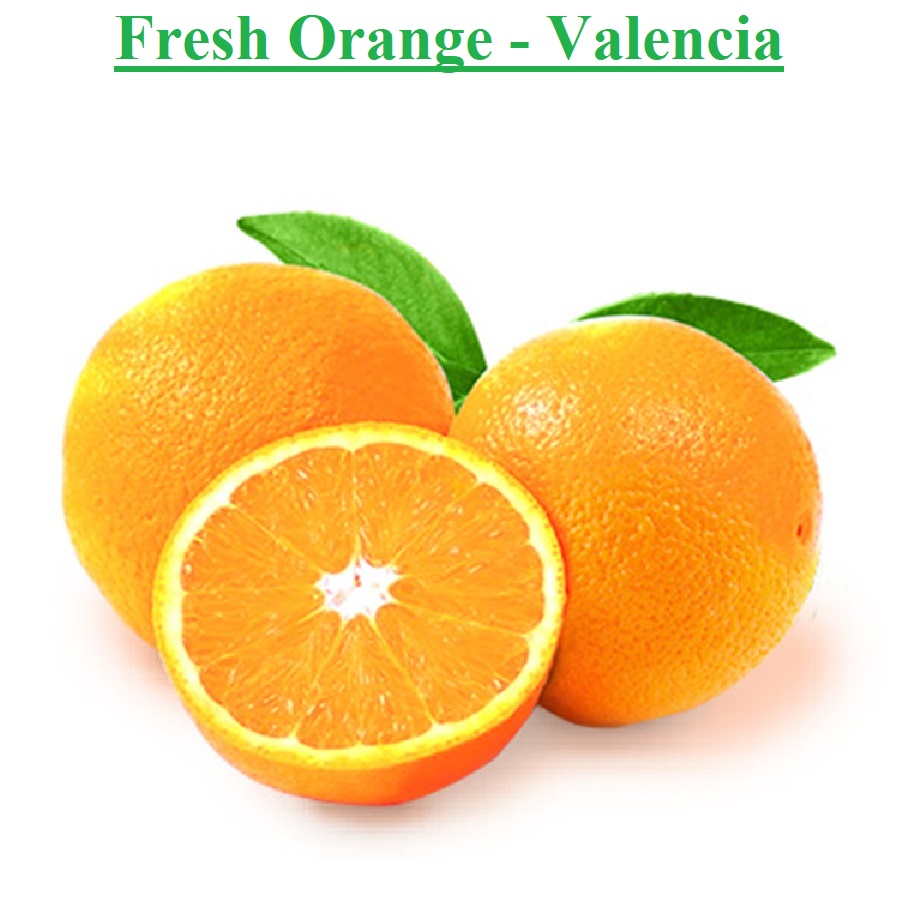 Planet Israel - Fresh Fruits | Fresh Citrus | Fresh Vegetables | Concentrated Pure Fruit Juice - Fresh Valencia Orange / Oranges from Israel