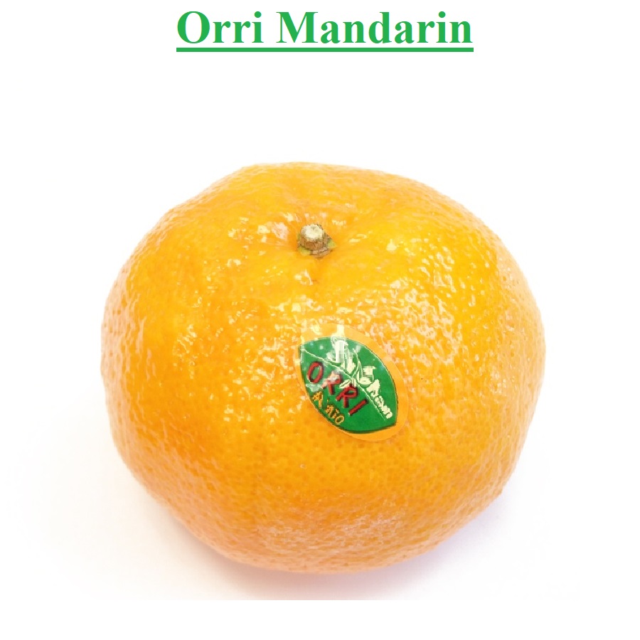 Planet Israel - Fresh Fruits | Fresh Citrus | Fresh Vegetables | Concentrated Pure Fruit Juice - Fresh Orri Mandarin / Clementine / Tangerine from Israel