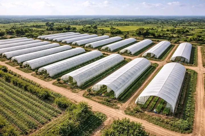 The Agricultural Projects Division - Agricultural Projects - Development, Establishment & Management - Agricultural Innovation and Advanced Technologies